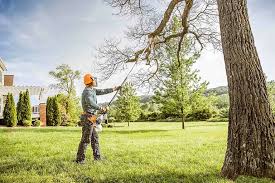 How Our Tree Care Process Works  in Finley, WA